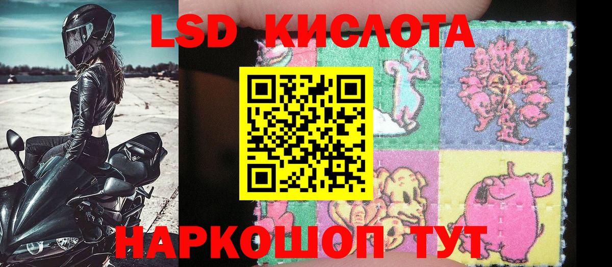 Наркотические марки 1,8мг  Вход с VPN  даркнет сайт  Наркотические марки 1,8мг  Новодвинск 