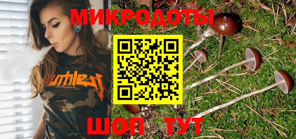 Псилоцибиновые грибы Psilocybine cubensis Новодвинск