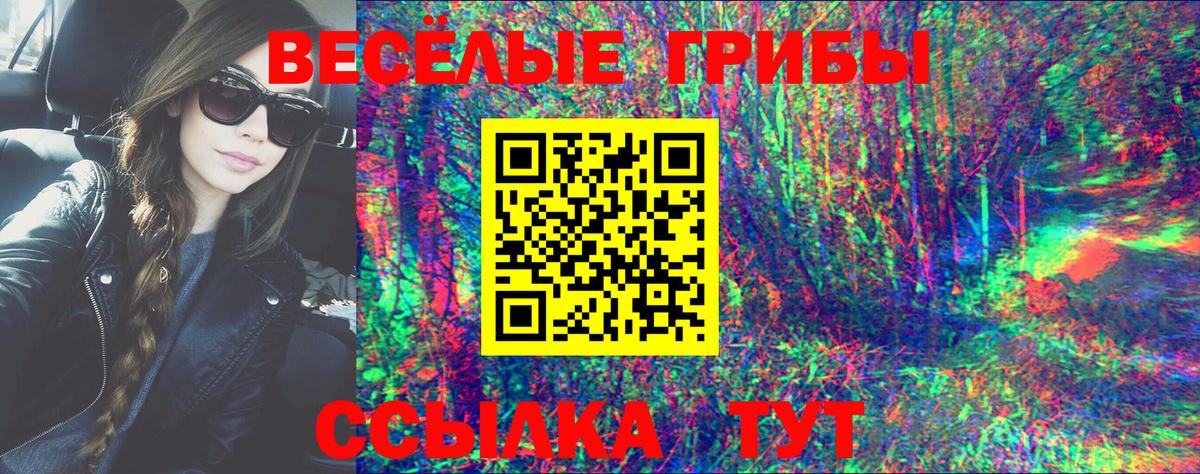 Псилоцибиновые грибы прущие грибы  Вход с VPN  Новодвинск 